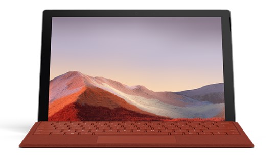 罗定清洁和维护 Surface